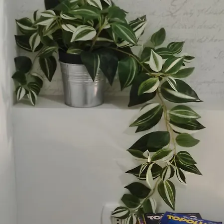 아파트 Borghetto 36